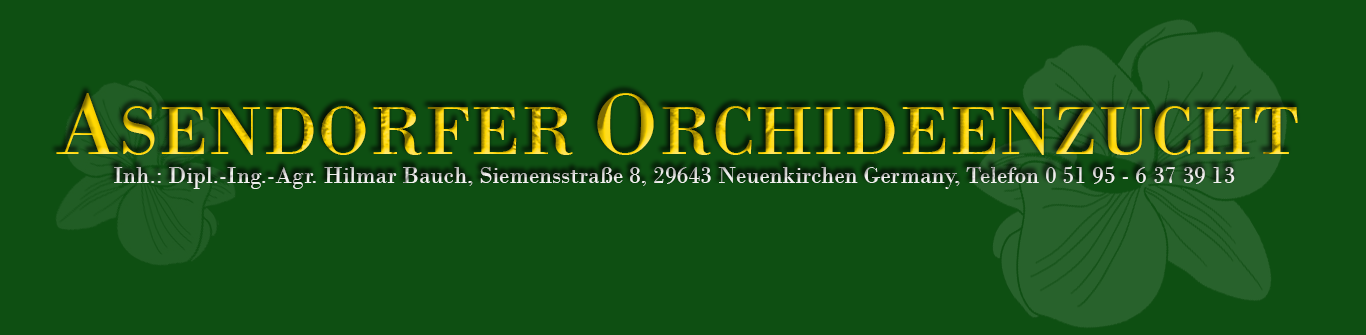 Asendorfer Orchideenzucht